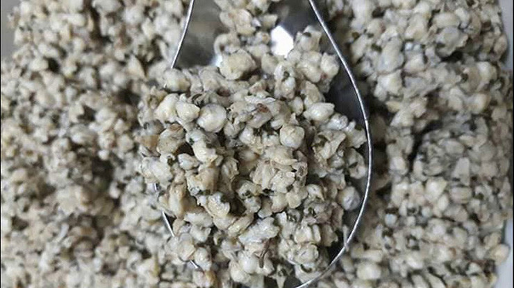 Thu dac san que, nay la mo vang dan di bat kiem nua trieu/ngay-Hinh-3