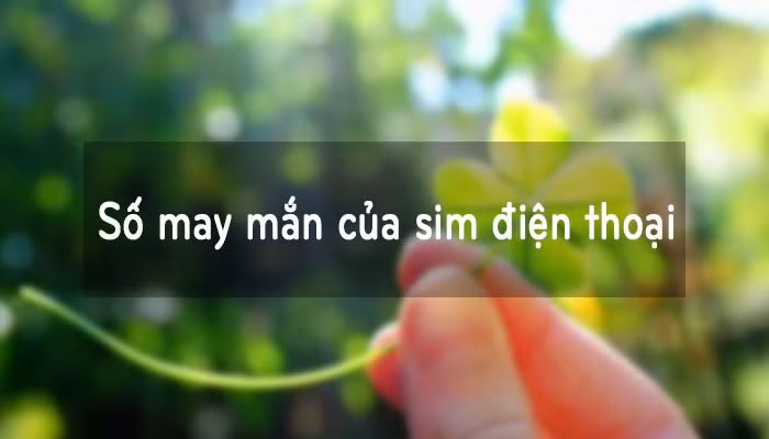 Điện thoại kết thúc bằng số 8: Những người sở hữu số đuôi diện thoại là số 8 nhất là số tứ quý như 8888 cực kỳ may mắn trong năm nay, làm việc gì cũng thuận lợi.