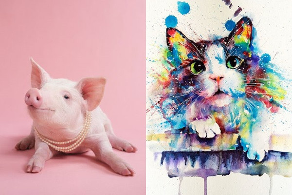 Trong tính cách thì những người tuổi Mão đa phần là những người hiền lành, ít nói, nhưng có tính kiên định cao nên có thể dạy cho con của mình là tuổi Hợi những điều rất thực tế.