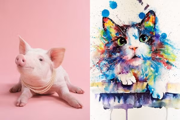 Trong tính cách thì những người tuổi Mão đa phần là những người hiền lành, ít nói, nhưng có tính kiên định cao nên có thể dạy cho con của mình là tuổi Hợi những điều rất thực tế.