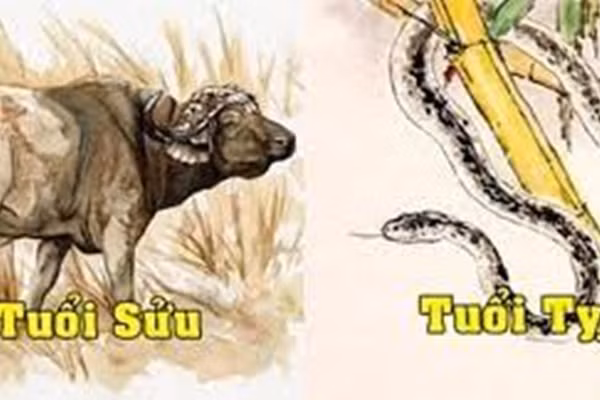 4 cap me con Than Phat cho che, giau khung trong 3 nam toi