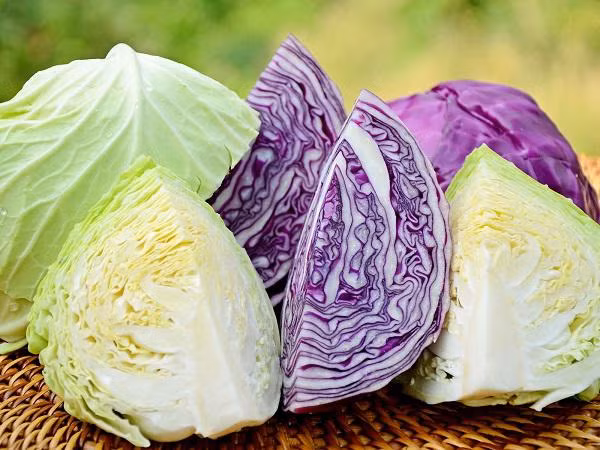 7 nhom nguoi nay duoc khuyen cao khong nen an bap cai