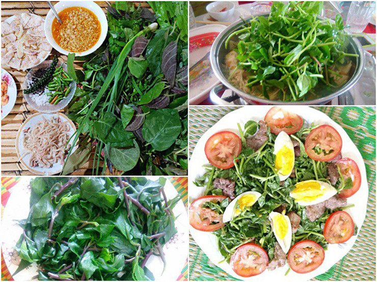 Loại rau dại này có mùi vị chua nhẹ, thanh mát, vị giòn, ngọt, sắc tố xanh đẹp mắt.