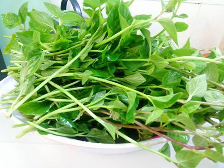 Ngoài là món ăn ngon, thân cây của lỗ bình còn được sử dụng chữa viêm họng, viêm phế quản mãn tính, phong tê thấp, đau nhức xương khớp, chấn thương sưng đau…