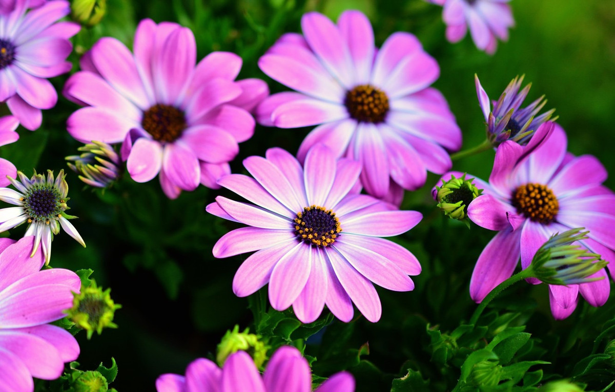 10 ngày cuối tháng 4/2022, 3 con giáp mở cửa có tiền, phát tài to 10 ngay cuoi thang 4/2022, 3 con giap mo cua co tien, phat tai to