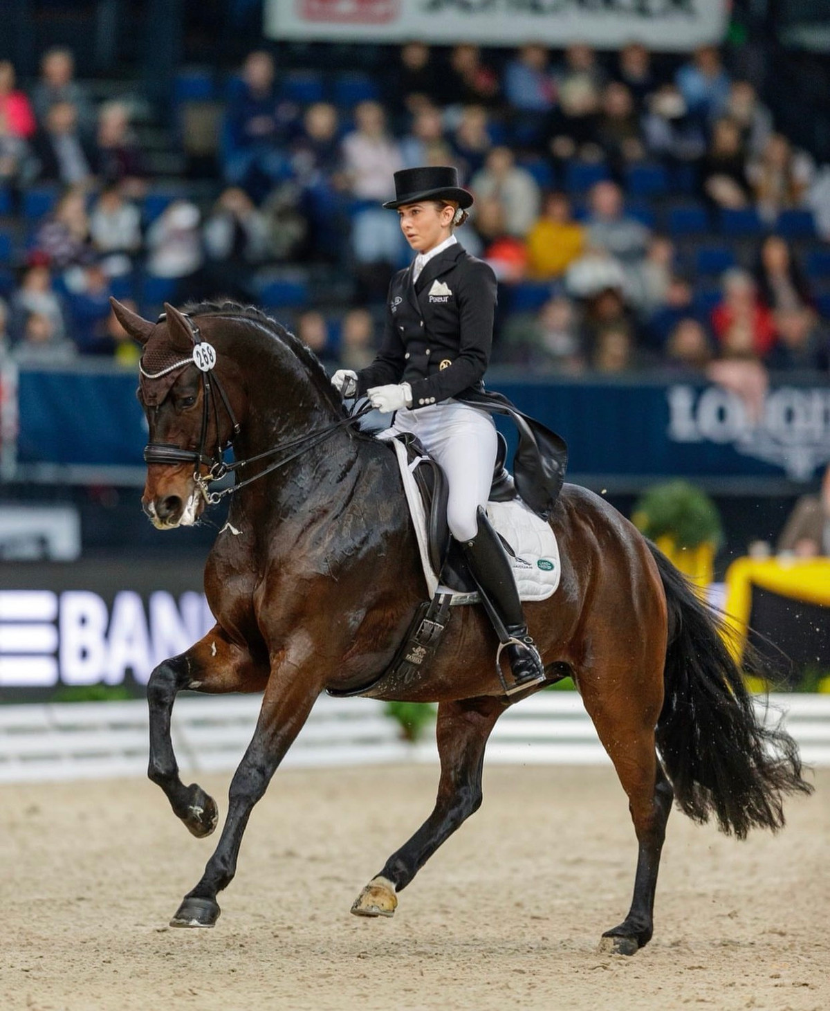 Lisa đam mê cưỡi ngựa từ khi còn nhỏ. Trưởng thành, cô trở thành tay đua ngựa chuyên nghiệp. Người đẹp 33 tuổi giành được huy chương bạc trong giải vô địch bang Bavaria U25 vào tháng 7/2014. Năm 2019, cô cũng vô địch Stuttgart German Masters.