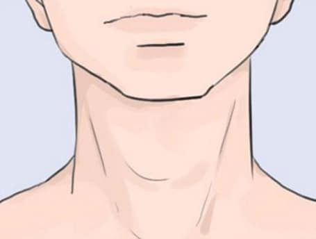 Nhìn tướng cổ phụ nữ 3 giây biết tương lai giàu nghèo thành bại - Hình 2 Nhin tuong co phu nu 3 giay biet tuong lai giau ngheo thanh bai-Hinh-2