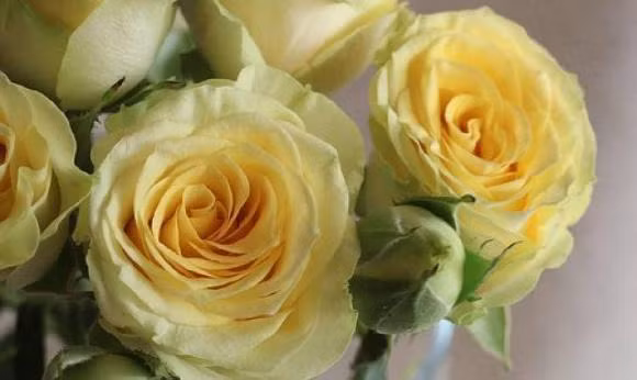 Nguoi co tri tue cam xuc cao se chan ngay 3 kieu ban nay