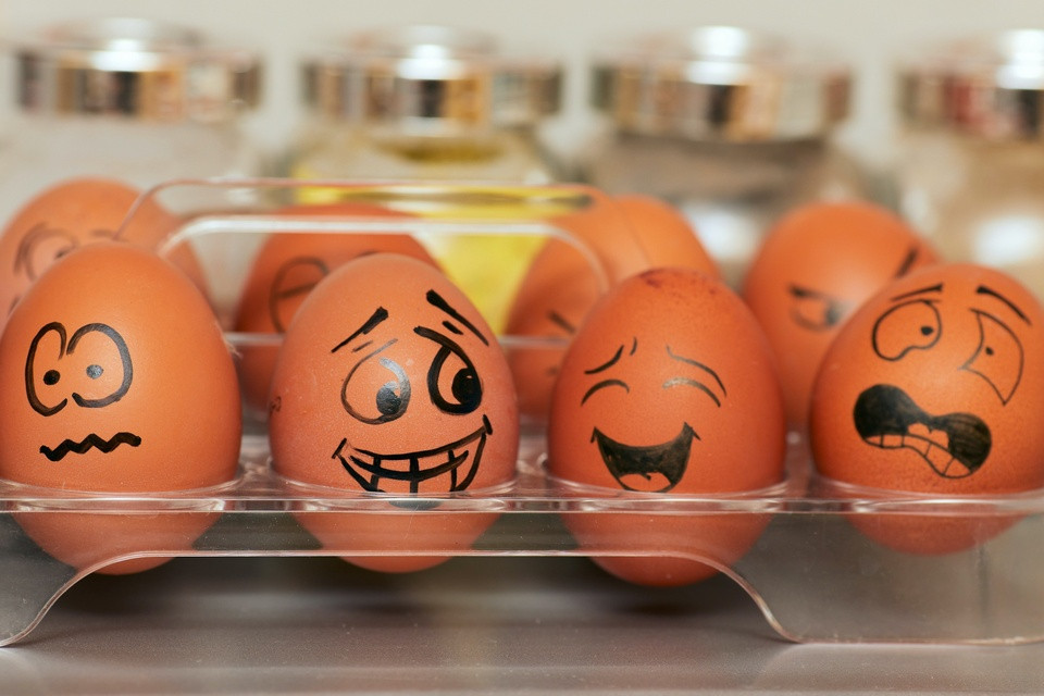 Trung giup cai thien chuc nang nhan thuc