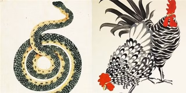 Nhờ có Thần Phật che chở nên cặp đôi Tỵ - Dậu sẽ có cơ hội tỏa sáng, được cấp trên tin tưởng cất nhắc lên vị trí mới tốt hơn. Khi hai con giáp này ở bên nhau cuộc sống càng thêm phần hưng thịnh giàu có..