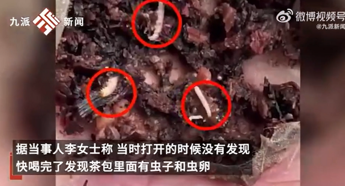 Gioi bo bo luc nhuc trong tui tra loc cua hang tra sua Mixue-Hinh-3