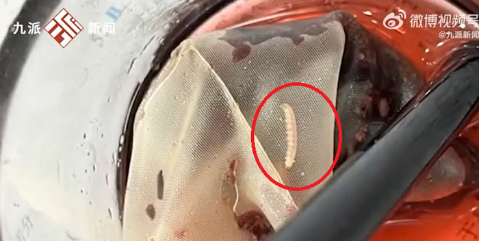 Gioi bo bo luc nhuc trong tui tra loc cua hang tra sua Mixue