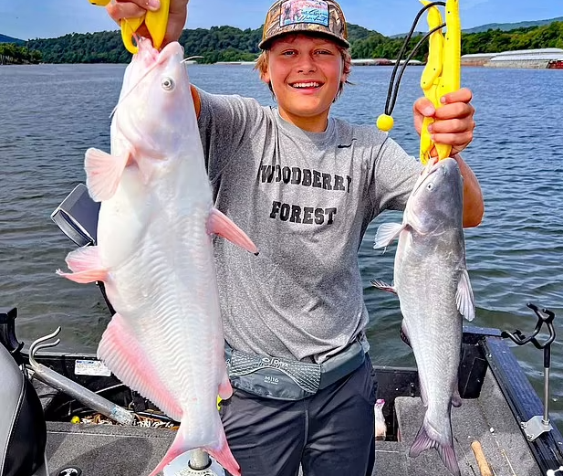 Cậu bé 15 tuổi câu được cá da trơn màu trắng quý hiếm ảnh 2