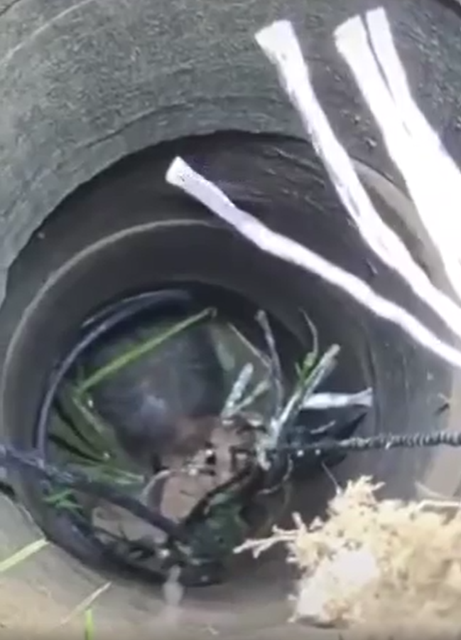 "Nín thở" 3 giờ dùng xẻng cứu cụ ông rơi xuống giếng sâu 7m ảnh 1