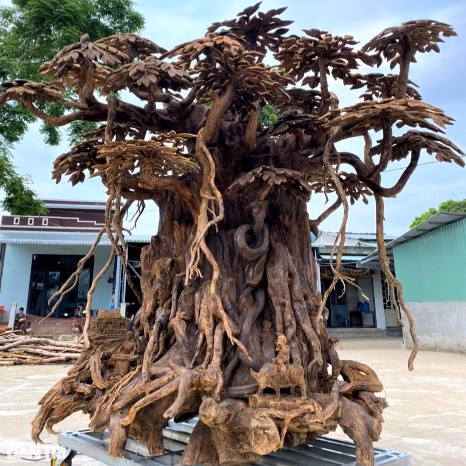 Làng tìm "vàng" trong thân cây, đổi đời nhờ tỉ mẩn đục đẽo ảnh 5