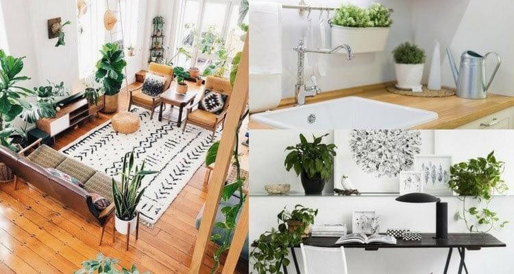 Thang cuoi nam thay doi 5 dieu xua van xui, don loc vao nha-Hinh-3