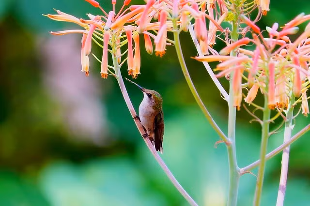 Thang cuoi nam 2022, 4 con giap thanh cong, nam moi cang giau-Hinh-2