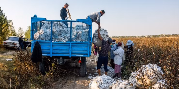 Noi U23 Viet Nam gap U23 Thai Lan: Co mo vang lon nhat the gioi-Hinh-8