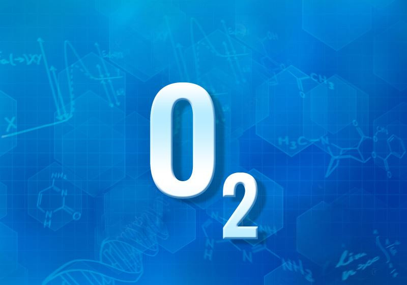 Nhân loại muốn biến sa mạc thành rừng, chuyên gia: Đừng vội mừng nếu thành công! - Hình 5 Nhan loai muon bien sa mac thanh rung, chuyen gia: Dung voi mung neu thanh cong!-Hinh-5