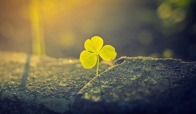 Con nguoi khi gap xui xeo, hay tuan thu nam dieu nay