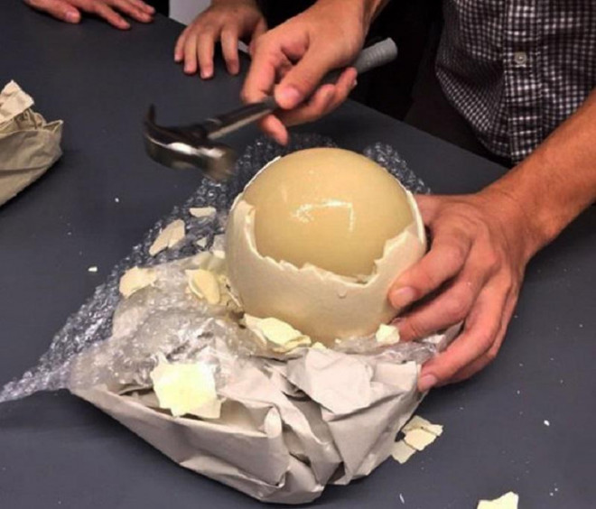 Dau thang luong ve, an thu trung da dieu sieu to khong lo-Hinh-7