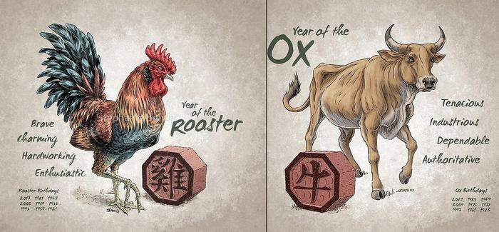 2. Tuổi Dậu và Sửu. Nằm trong mối quan hệ Tam Hợp, Dậu và Sửu được cho là vô cùng hợp nhau, càng sống với nhau lâu, họ lại càng tình cảm, càng có nhiều phúc lộc.