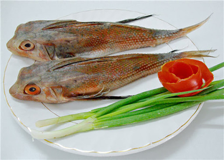 Cá tắc kè có nhiều ở các vùng biển miền Trung, chúng thường sống ở vùng biển sâu.