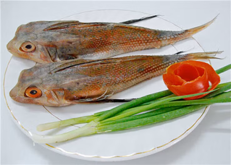 Cá tắc kè có nhiều ở các vùng biển miền Trung, chúng thường sống ở vùng biển sâu.