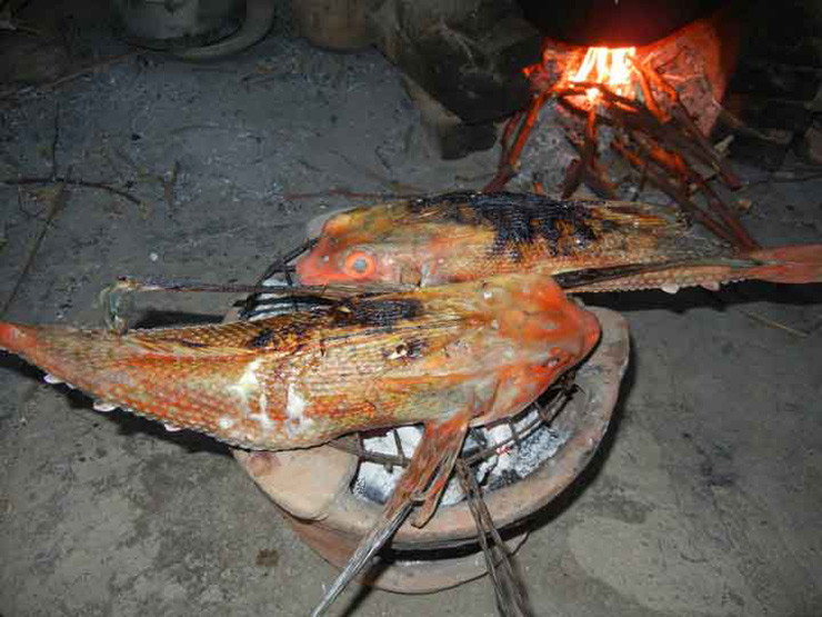 Chỉ thời gian gần đây, người ta mới phát hiện ra cá tắc kè có hương vị thơm ngon, ăn không ngán sau khi cách chế biến.