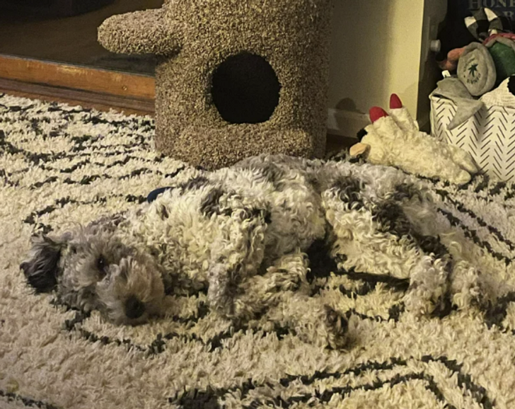 Chiếc thảm trên sàn kỳ lạ quá