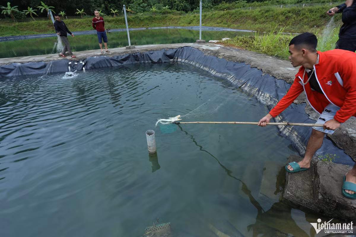 Nuoi thanh cong ca tam o 'chao lua' mien Trung