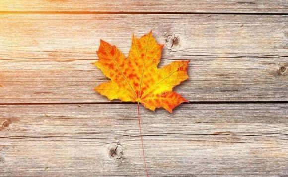 Sau khi nghi huu, nguoi ma khoe 3 dieu nay thi that la ngu ngoc-Hinh-2