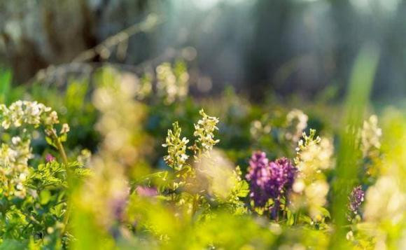 Sau khi nghi huu, nguoi ma khoe 3 dieu nay thi that la ngu ngoc-Hinh-3