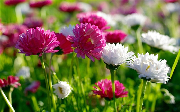 Người có ngày sinh kết thúc bằng 4 số này, sống lương thiện - Hình 3 Nguoi co ngay sinh ket thuc bang 4 so nay, song luong thien-Hinh-3