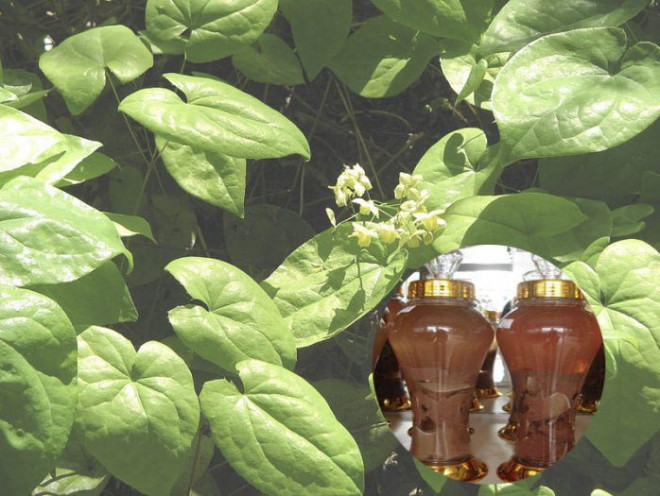 Co 5 loai ruou ngam rat de lam tri 9 noi niem kho noi cua dan ong-Hinh-3