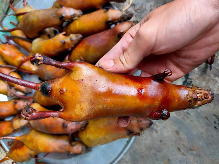 Rất nhiều món từ thịt chuột như thịt chuột xào, chuột nướng, chuột treo gác bếp.