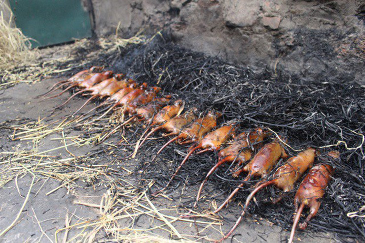 Con chuột gắn bó với người La Chí từ hàng ngàn năm nay, nên không biết từ khi nào, chuột đã trở thành đặc sản. Trên thị trường, thịt chuột có giá khoảng 90.000 đồng/kg, nếu vào mùa khan hiếm giá có thể lên tới 120.000 đồng/kg