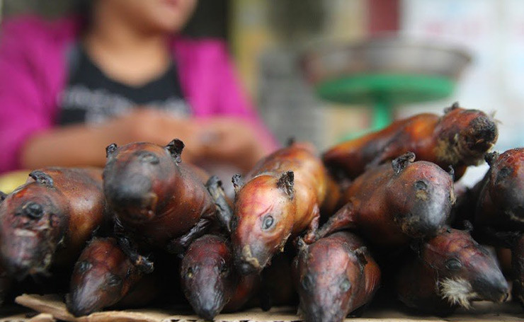 Chuột ở Hà Giang là những con chuột đồng, thường có thể săn bắt quanh năm, tuy nhiên vào mùa thu hoạch lúa là mùa chuột nhiều nhất.
