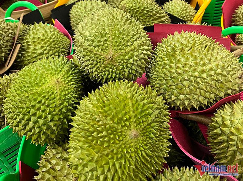 Trên thị trường, sầu riêng Musang King được rao bán khá nhiều, nhưng đa phần đều là cơm sầu đông lạnh nhập khẩu. Còn sầu tươi nguyên quả trồng tại Việt Nam vẫn khá hiếm.