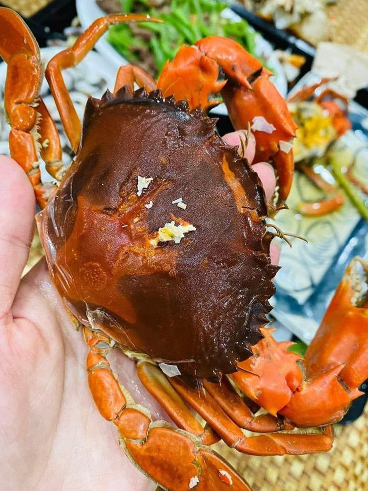 Đó là lúc cua trước khi lột xác vài ngày. Thời điểm này vỏ cua cũ vẫn còn dính trên thân, chưa tách ra hoàn toàn. Đây được coi là giai đoạn mà thịt cua ngon và chắc nhất.