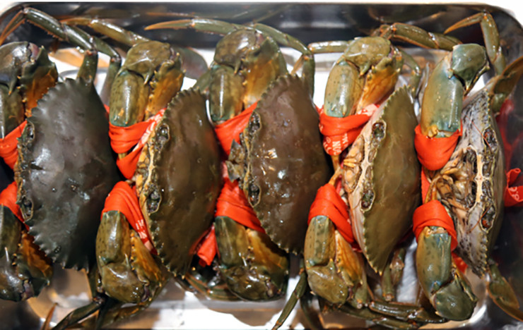 Lúc này, cua cốm vào hang trú ngụ, không di chuyển và lấp kín miệng hang để trốn tránh kẻ thù nên rất khó mới có thể bắt được chúng