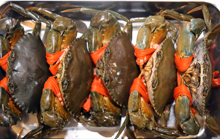 Lúc này, cua cốm vào hang trú ngụ, không di chuyển và lấp kín miệng hang để trốn tránh kẻ thù nên rất khó mới có thể bắt được chúng