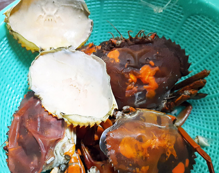 Cua cốm còn gọi là cua 2 da, là tên gọi đặc trưng cho một giai đoạn đặc trưng của họ nhà cua.