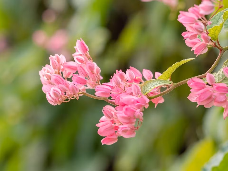 Nguoi sinh 3 thang Am lich nay, su nghiep hanh thong-Hinh-3