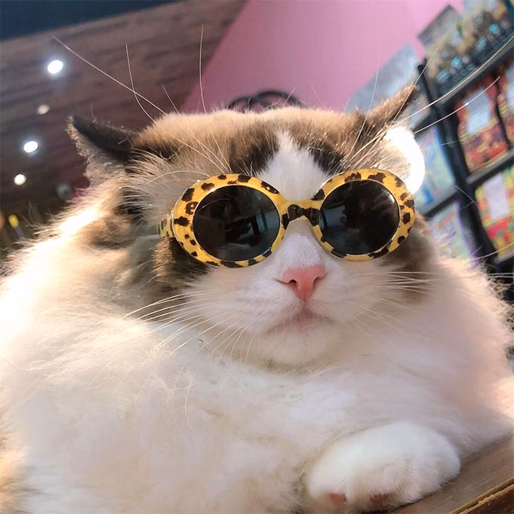 Tu 21 den 25/9 Am: 4 tuoi tay trai don loc, tay phai hung tien-Hinh-2