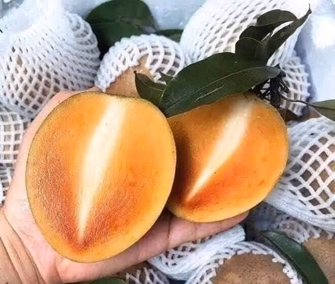 Loai qua than duoc chong viem khong duoc an sau canh cua-Hinh-3