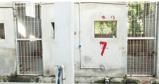 Để đảm bảo, đơn vị đã chỉ đạo các bác sỹ thú y cách 2 giờ đồng hồ phải thăm khám cho các con hổ 1 lần và báo cáo tình trạng để có hướng chăm sóc.