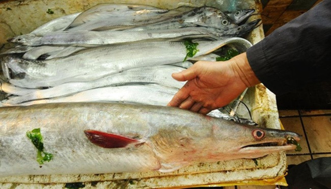 Sau đó, chúng được bày bán tại một khu chợ ở Thanh Đảo, Sơn Đông và thu hút sự chú ý của mọi người.