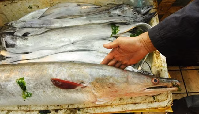 Sau đó, chúng được bày bán tại một khu chợ ở Thanh Đảo, Sơn Đông và thu hút sự chú ý của mọi người.