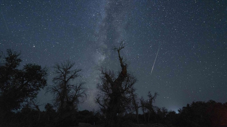 Mưa sao băng Perseid trên những cây dương sa mạc ở Korla, Trung Quốc, ngày 12.8. Ảnh: AFP/Getty